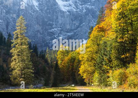 A touristic highlight, colorful autumn season in Engtal or Eng  Valley, Nature Park Karwendel, Tyrol, Austria, Europe Stock Photo