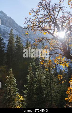 A touristic highlight, colorful autumn season in Engtal or Eng  Valley, Nature Park Karwendel, Tyrol, Austria, Europe Stock Photo