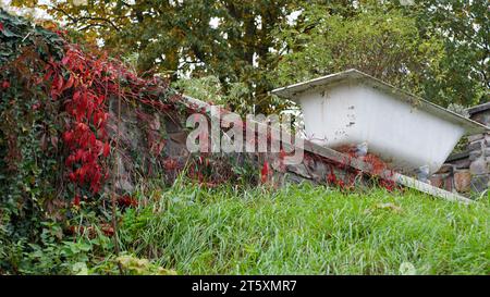 An old bathtub as decoration on a stonewall with wild vine. Stock Photo
