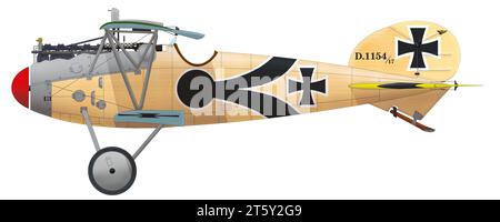 First world war albatros d v hi-res stock photography and images