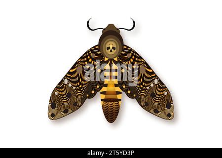 The death's head moth in dark brown colors. Night mystical butterfly with a skull. Vector illustration of Acherontia winged insect isolated on white Stock Vector