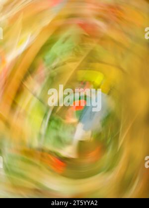 Flower and vegetable seeds in greenhouse store abstract  blur grunge style texture. Vegetable seeds on sale blurry background. Stock Photo