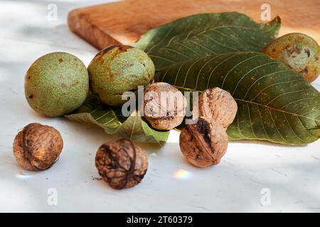 Young walnuts with leaves on a white background. Nuts with shell and walnuts in green peel. Stock Photo