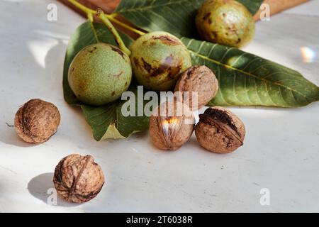 Young walnuts with leaves on a white background. Nuts with shell and walnuts in green peel. Stock Photo