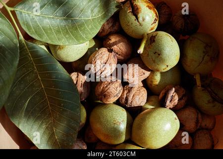 Young walnuts with leaves. Nuts with shell and walnuts in green peel. Close up. Stock Photo