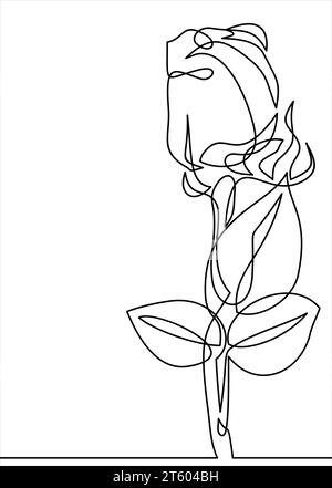 vector of rose flowers- continuous line drawing Stock Vector