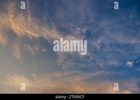Evening cloudscape. White high-level cirrus clouds with yellow tint against a blue sky. Landscape orientation. Stock Photo