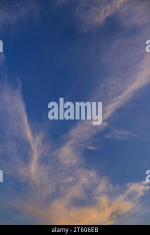 Evening cloudscape. White high-level cirrus clouds with orange tint against a blue sky. Portrait orientation. Stock Photo