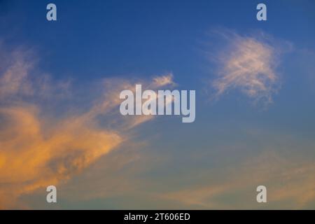 Evening cloudscape. White high-level cirrus clouds with orange tint against a blue sky. Detail view. Stock Photo