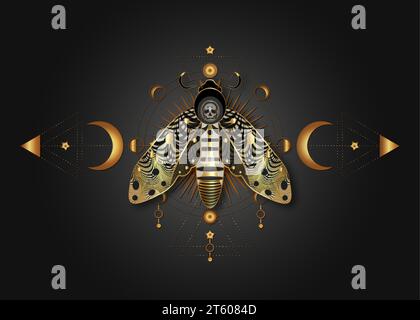 Vector background with hawk moth and phases of the moon Stock Vector ...