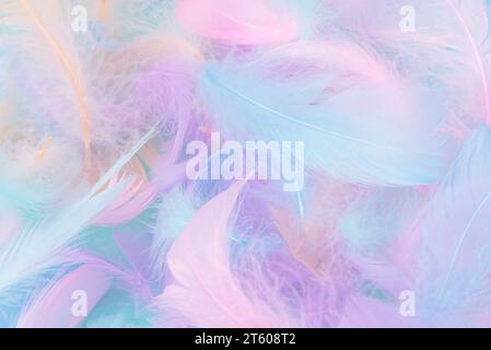 Colorful feather on mint background, top view. Stock Photo