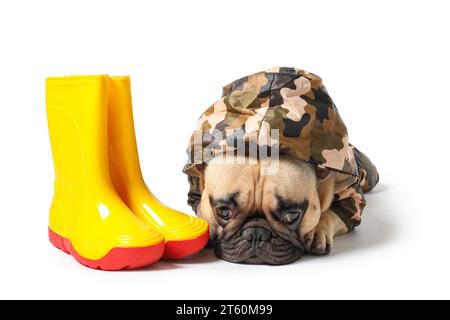 Pug wellington clearance boots