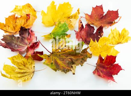 Autumn leaves collage s isolated in front of white background Stock Photo