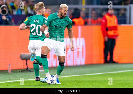 Dortmund, Germany. 07th Nov, 2023. DORTMUND, GERMANY - NOVEMBER 7: Joelinton of Newcastle United in action during the UEFA Champions League Group F match between Borussia Dortmund and Newcastle United FC at the Signal Iduna Park on November 7, 2023 in Dortmund, Germany (Photo by Joris Verwijst/Orange Pictures) Credit: Orange Pics BV/Alamy Live News Stock Photo