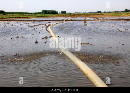 water pipe leaking out of doors Stock Photo - Alamy