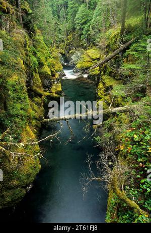 Ohanapecosh River below Silver Falls, Mt Rainier National Park, Washington Stock Photo