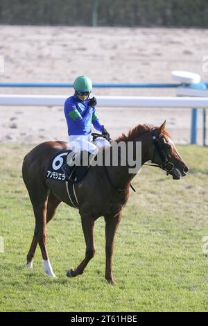 Kyoto, Japan. 5th Nov, 2023. Seraphic Call won the Miyako Stakes at