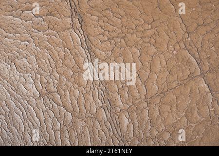 close-up aging old used leather surface, beige synthetic material seat with wear and tear, including scuffs, creases and scratches, abstract backgroun Stock Photo