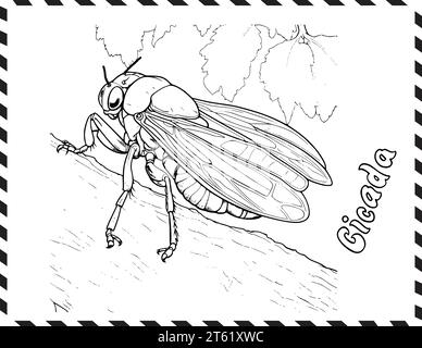 Cicada Coloring Page For Kids Stock Vector