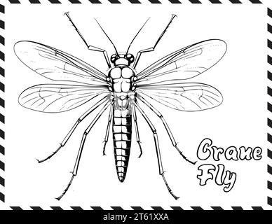 Crane Fly Coloring Page for Kids Stock Vector