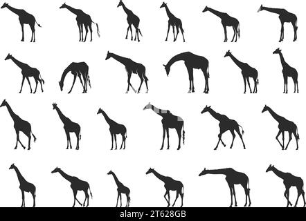 Giraffe silhouette, Giraffe Svg, Giraffe silhouettes, Giraffe vector illustration, Giraffe clipart Stock Vector