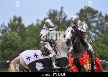 Knight jousting. Medieval knights during a jousting tournament. Knights competition. Stock Photo