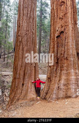 Hiking trails in Yosemite National Park. Hiker in Sequoia national park in California, USA. Young woman visit Sequoia national park in California, USA. American hiking trails. Landmarks in California. Stock Photo