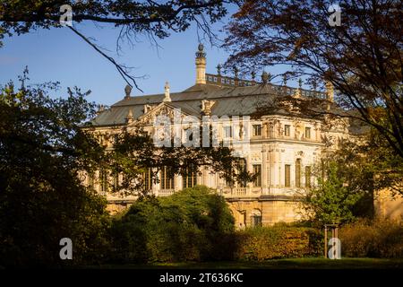 Grosser Garten im Herbst Der Große Garten in Dresden ist eine Parkanlage barocken Ursprungs. Der Große Garten wurde im Laufe seiner über dreihundertjährigen Geschichte vielfach überformt, wobei die barocke Grundstruktur erkennbar geblieben ist. Das Palais im Grossen Garten. Dresden Sachsen Deutschland *** Grosser Garten in autumn The Grosser Garten in Dresden is a park of Baroque origin The Grosser Garten has been reshaped many times over the course of its more than three hundred years of history, although the basic Baroque structure has remained recognizable The palace in the Grosser Garten D Stock Photo