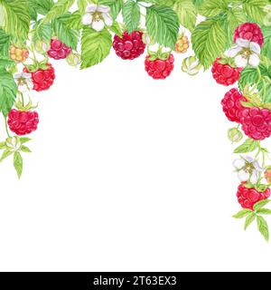 Composition of hanging raspberry branches. Watercolor red berries grow on branches, green leaves and flowers. Hanging from above is a bunch of garden Stock Photo