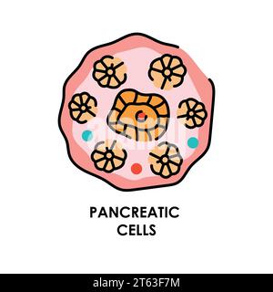 Pancreatic cell color line icon. Microorganisms microbes, bacteria. Vector isolated element. Editable stroke. Stock Vector