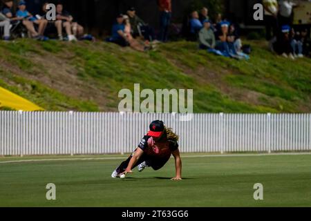 Adelaide, Australia. 08th Nov, 2023. Adelaide, Australia, November 8th 2023: Sara Kennedy (22 Melbourne Renegades) dives for the ball during the Weber Women's Big Bash League 09 game between Adelaide Strikers and Melbourne Renegades at the Karen Rolton Oval in Adelaide, Australia (Noe Llamas/SPP) Credit: SPP Sport Press Photo. /Alamy Live News Stock Photo