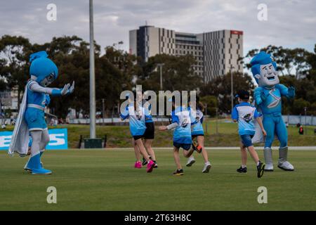 Adelaide, Australia. 08th Nov, 2023. Adelaide, Australia, November 8th 2023: The Adelaide Strikers mascots during the Weber Women's Big Bash League 09 game between Adelaide Strikers and Melbourne Renegades at the Karen Rolton Oval in Adelaide, Australia (Noe Llamas/SPP) Credit: SPP Sport Press Photo. /Alamy Live News Stock Photo