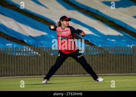 Adelaide, Australia. 08th Nov, 2023. Adelaide, Australia, November 8th 2023: Tammy Beaumont (91 Melbourne Renegades) fields during the Weber Women's Big Bash League 09 game between Adelaide Strikers and Melbourne Renegades at the Karen Rolton Oval in Adelaide, Australia (Noe Llamas/SPP) Credit: SPP Sport Press Photo. /Alamy Live News Stock Photo