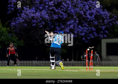 Adelaide, Australia. 08th Nov, 2023. Adelaide, Australia, November 8th 2023: Laura Wolvaardt (14 Adelaide Strikers) loses her wicket during the Weber Women's Big Bash League 09 game between Adelaide Strikers and Melbourne Renegades at the Karen Rolton Oval in Adelaide, Australia (Noe Llamas/SPP) Credit: SPP Sport Press Photo. /Alamy Live News Stock Photo