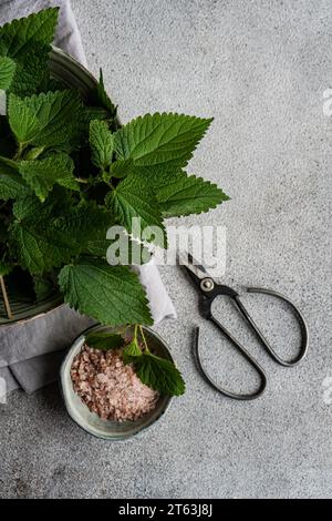From above of vegan culinary scene with fresh nettle leaves in a metallic container a bowl of Himalayan pink salt and a pair of black scissors on a te Stock Photo