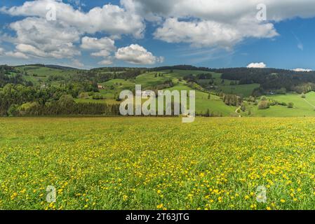 Hexenlochmühle, Hexenloch Mill, traditional water mill with two water wheels in the Black Forest near Furtwangen, Baden-Württemberg, Germany Stock Photo