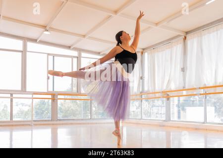 Elegant ballet dancer in a black leotard and flowing purple skirt extends her arms and arches her back gracefully bathed in natural light from the lar Stock Photo