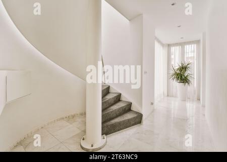 Grey carpeted spiral staircase leading to upper floor and empty white passage in luxurious house with potted plant Stock Photo