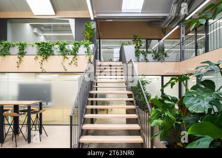 Elegant coworking office in Madrid Spain featuring a bright airy environment with professionals at work green plants and partitioned spaces Stock Photo