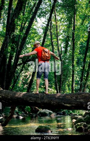 Adventurous man in a bright red t-shirt carefully hiking on a fallen log on green forest stream, looking ahead. Stock Photo