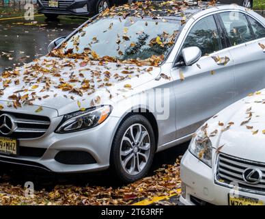 Autumn leaves falling on a car Stock Photo