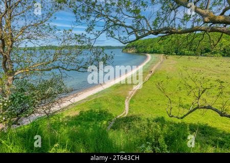 Middelfart Little Belt walking path, Denmark Stock Photo