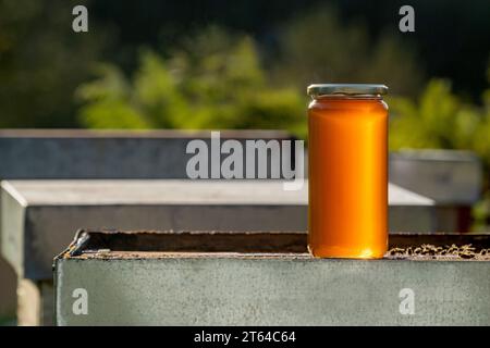 A large jar of organic and healthy honey over a hive in the sunlight on an autumn sunset Stock Photo