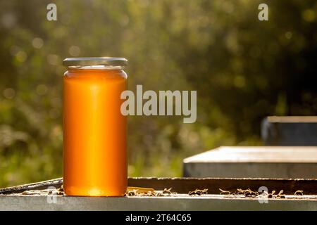 A large jar of organic and healthy honey over a hive in the sunlight on an autumn sunset Stock Photo