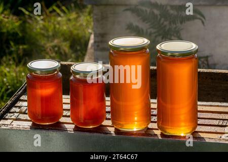 Four jars of organic honey, two large and two small, on a hive under the light of an autumn sunset Stock Photo