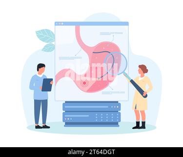 Gastroscopy, endoscopy for diagnosis of stomach diseases vector illustration. Cartoon tiny people with magnifying glass, medical endoscope with light examine upper digestive tract of patient on screen Stock Vector