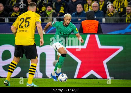 Dortmund, Germany. 07th Nov, 2023. DORTMUND, GERMANY - NOVEMBER 7: Joelinton of Newcastle United dribbles with the ball towards Niklas Sule of Borussia Dortmund during the UEFA Champions League Group F match between Borussia Dortmund and Newcastle United FC at the Signal Iduna Park on November 7, 2023 in Dortmund, Germany (Photo by Rene Nijhuis/BSR Agency) Credit: BSR Agency/Alamy Live News Stock Photo