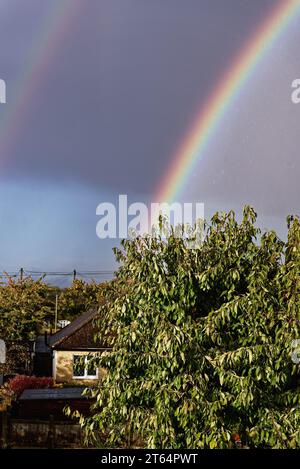 Rainbow forming against a grey sky with treetops in foreground Stock Photo