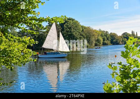 A lone yacht gently sailing on the River Thames at Shepperton on a late sunny  summers day, Surrey England UK Stock Photo