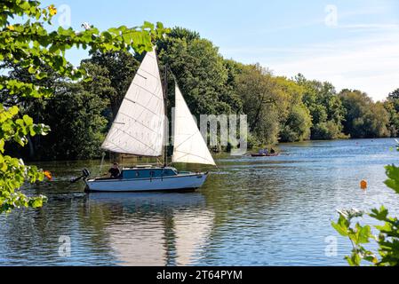 A lone yacht gently sailing on the River Thames at Shepperton on a late sunny  summers day, Surrey England UK Stock Photo